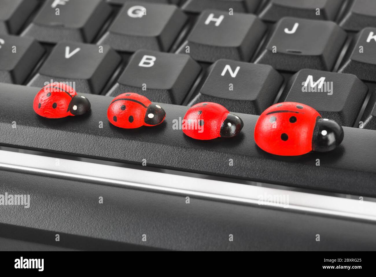 Toy coccinelle sulla tastiera del computer Foto Stock
