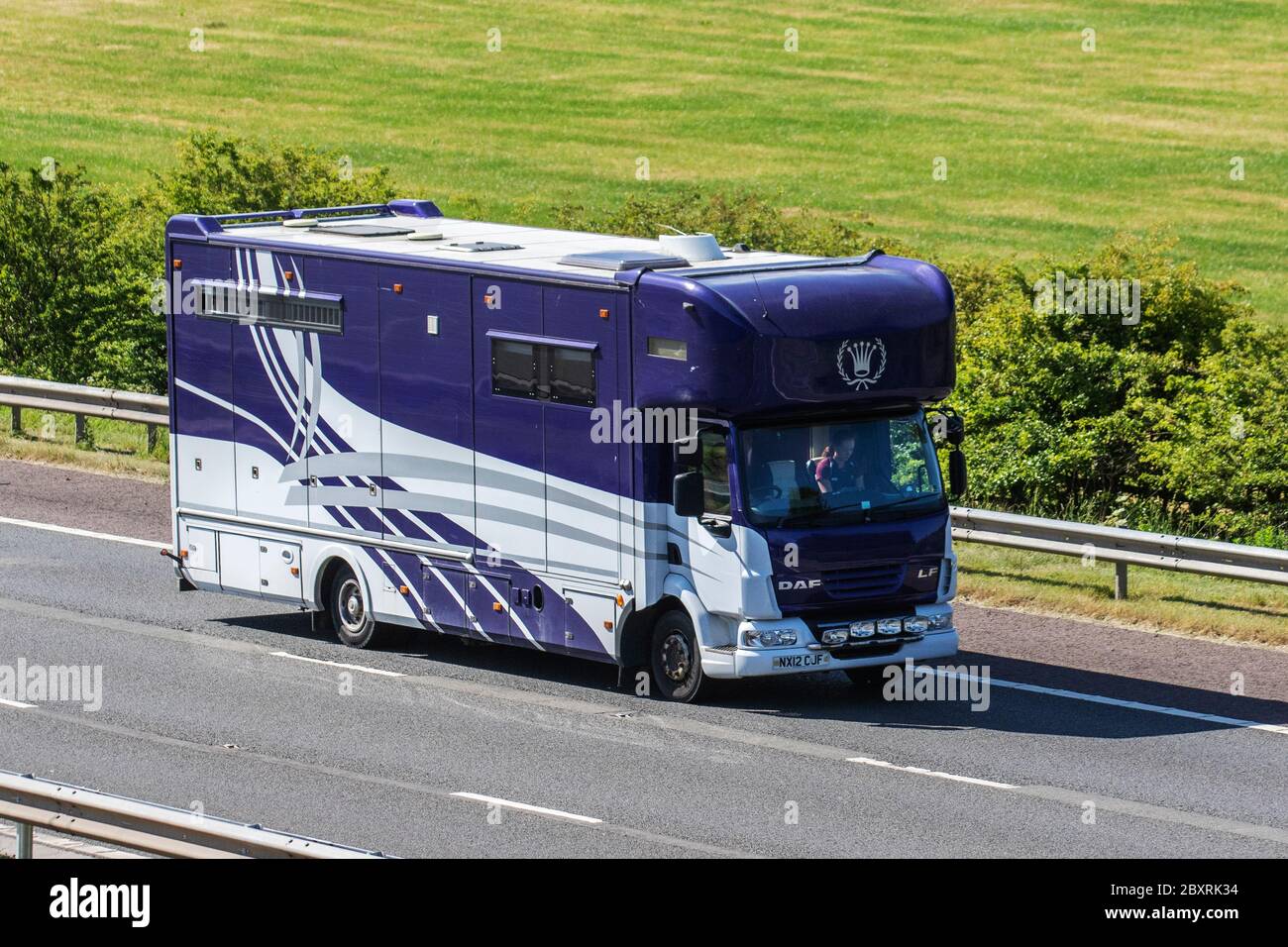 2012 furgone con box per cavalli di colore bianco viola costruito da un pullman di grandi dimensioni DAF Trucks LF; trasporto di animali sull'autostrada M6, Lancashire, Regno Unito Foto Stock