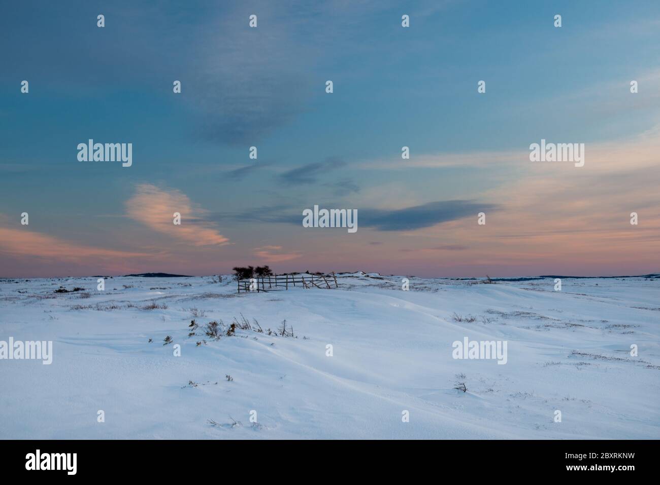 Terra sterile con neve bianca che copre la palude, c'è una recinzione quadrata di legno o penna con un piccolo edificio abbandonato fattoria. C'è un cielo rosa Foto Stock