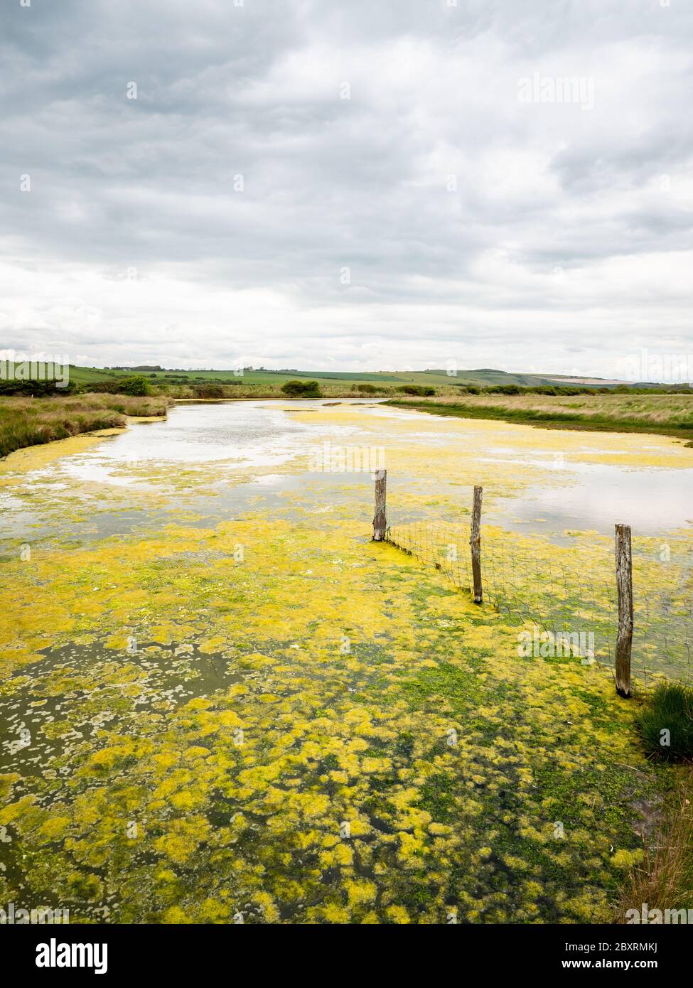 Cuckmere Haven alluvione pianure, South Downs, Inghilterra. Una vista sulle pianure di Cuckmere Haven nel Sussex orientale sulla costa meridionale dell'Inghilterra. Foto Stock