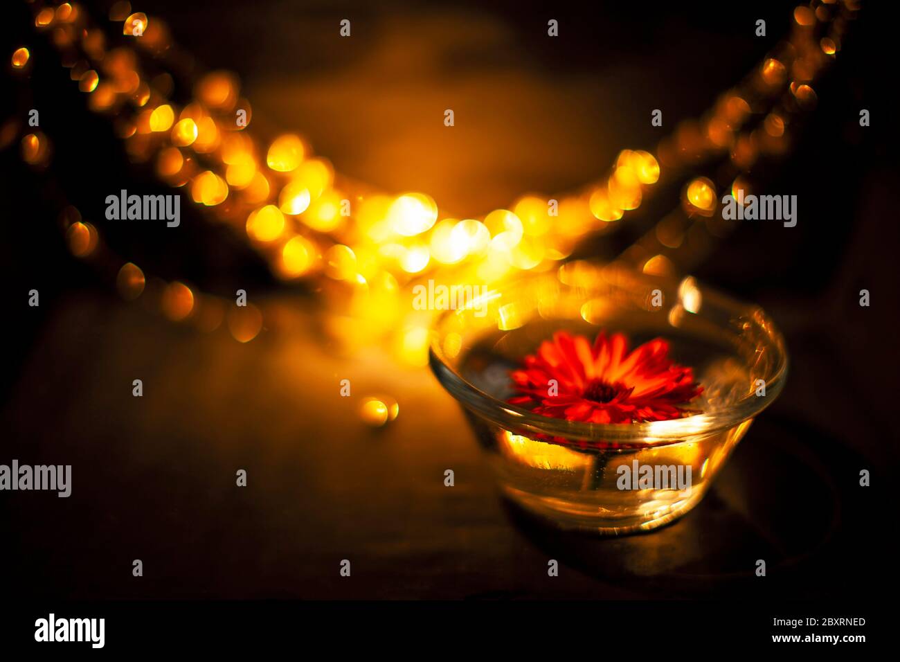 Fiore rosso che galleggia nel vaso di vetro trasparente con luci sfocate sullo sfondo Foto Stock
