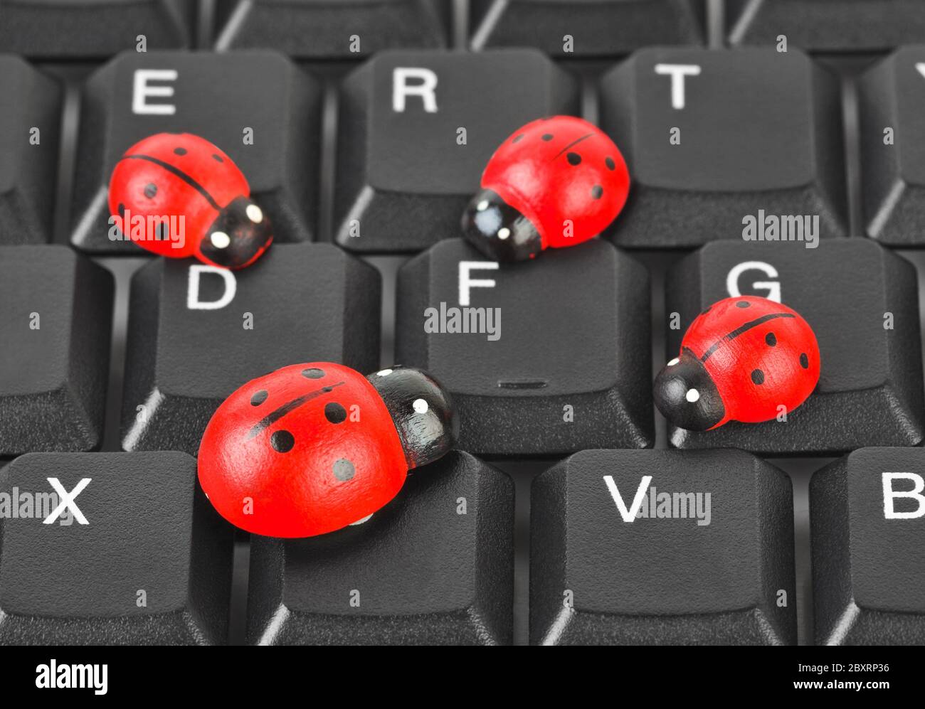 Toy coccinelle sulla tastiera del computer Foto Stock