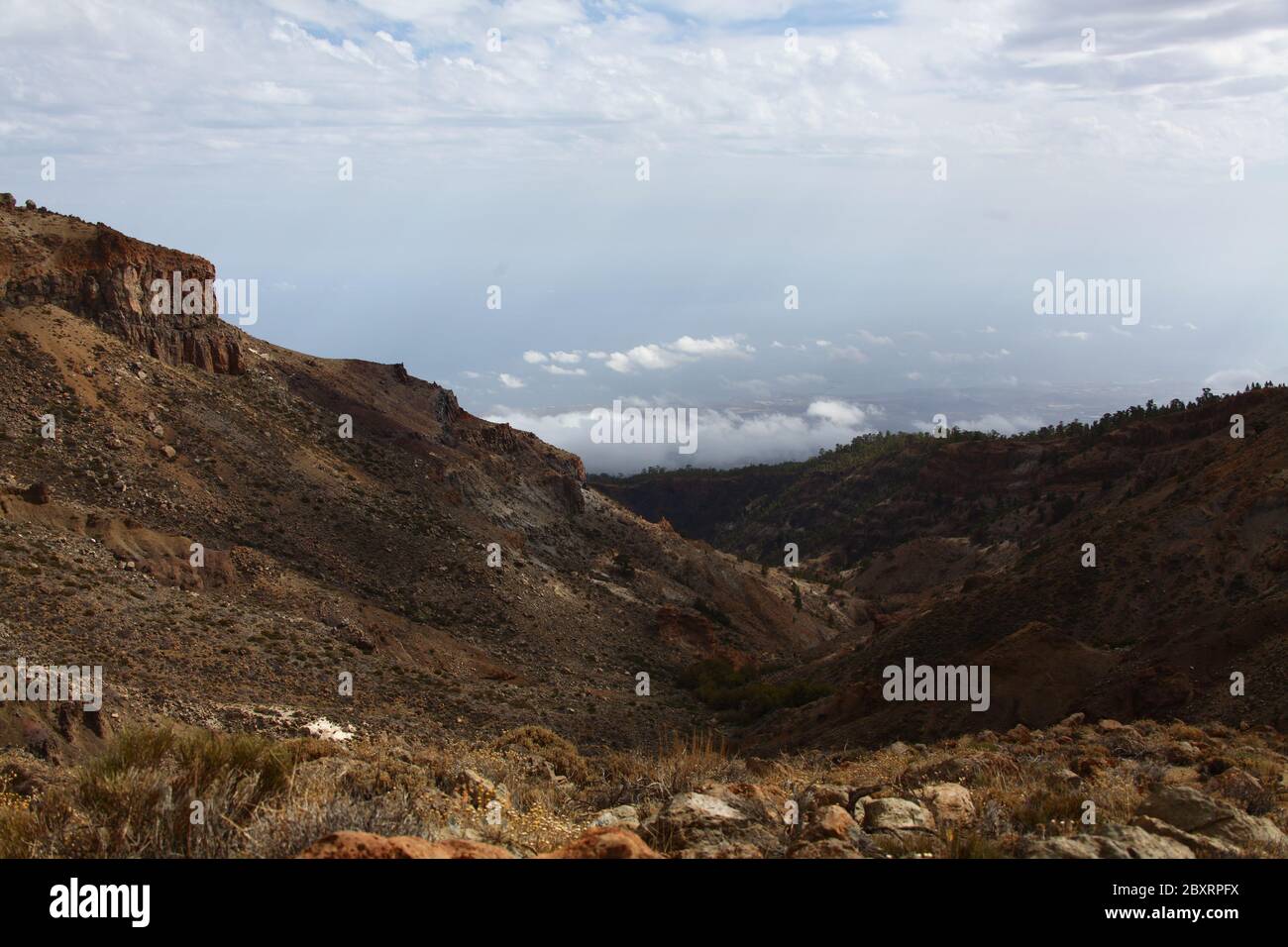 Vista panoramica su una delle valli dell'isola di Tenerife in montagna, cielo nuvoloso, natura selvaggia. Foto Stock