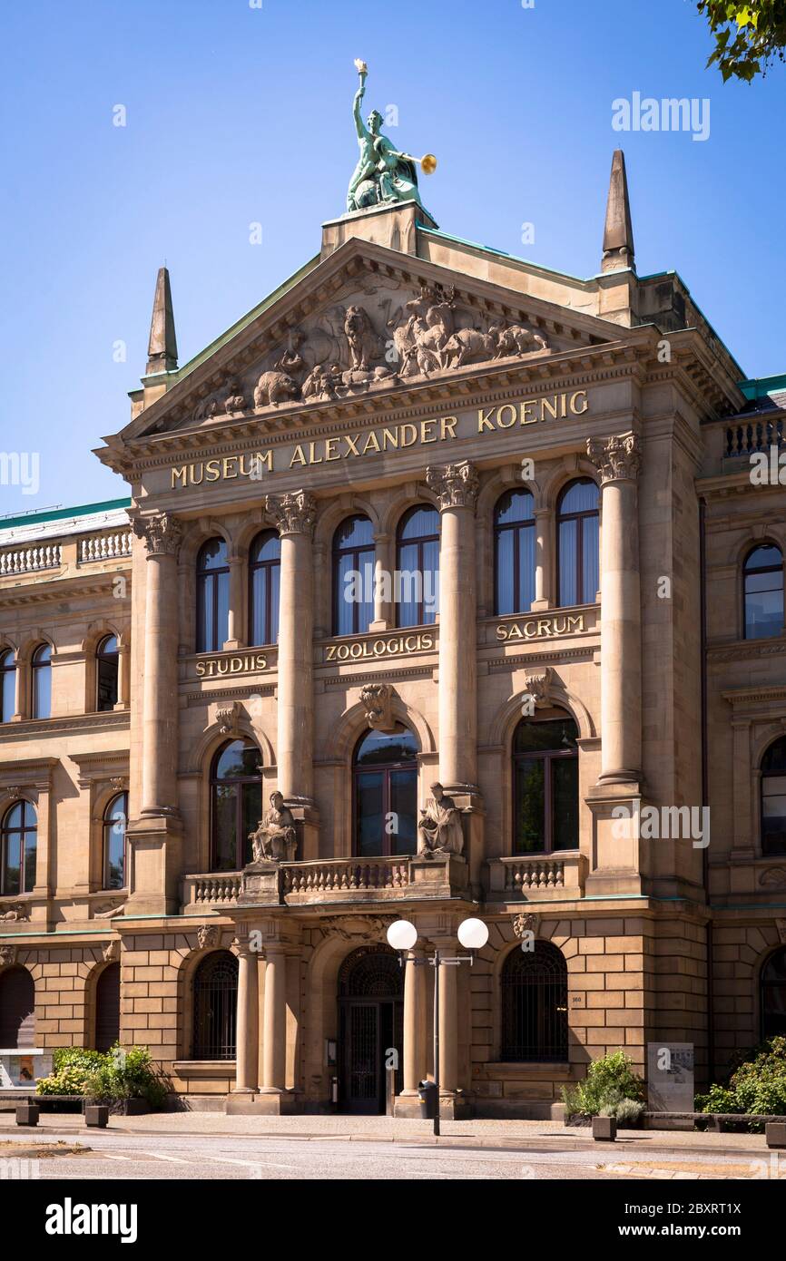 Il Museo di Storia Naturale Alexander Koenig su Adenauer Allee, Nord Reno-Westfalia, Bonn, Germania. Das Naturkundemuseum Alexander Koenig an der ad Foto Stock