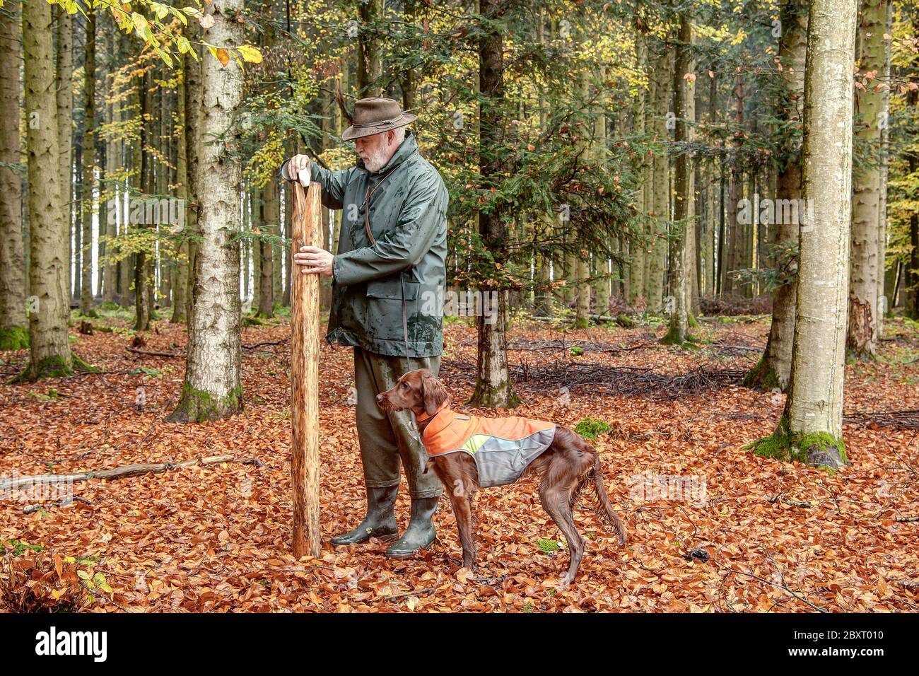 Un cacciatore con il suo cane ispeziona un cazzo di sale nella zona di caccia in un giorno d'autunno nel mese di ottobre. Foto Stock