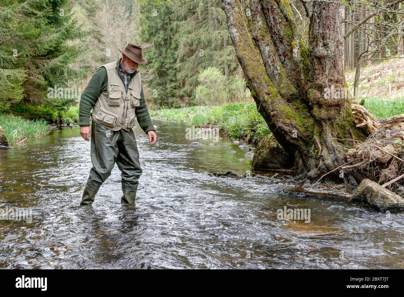 Se il percorso escursionistico o trekking attraversa un torrente più grande o un fiume senza un ponte, l'escursionista a volte deve affrontare una grande sfida Foto Stock