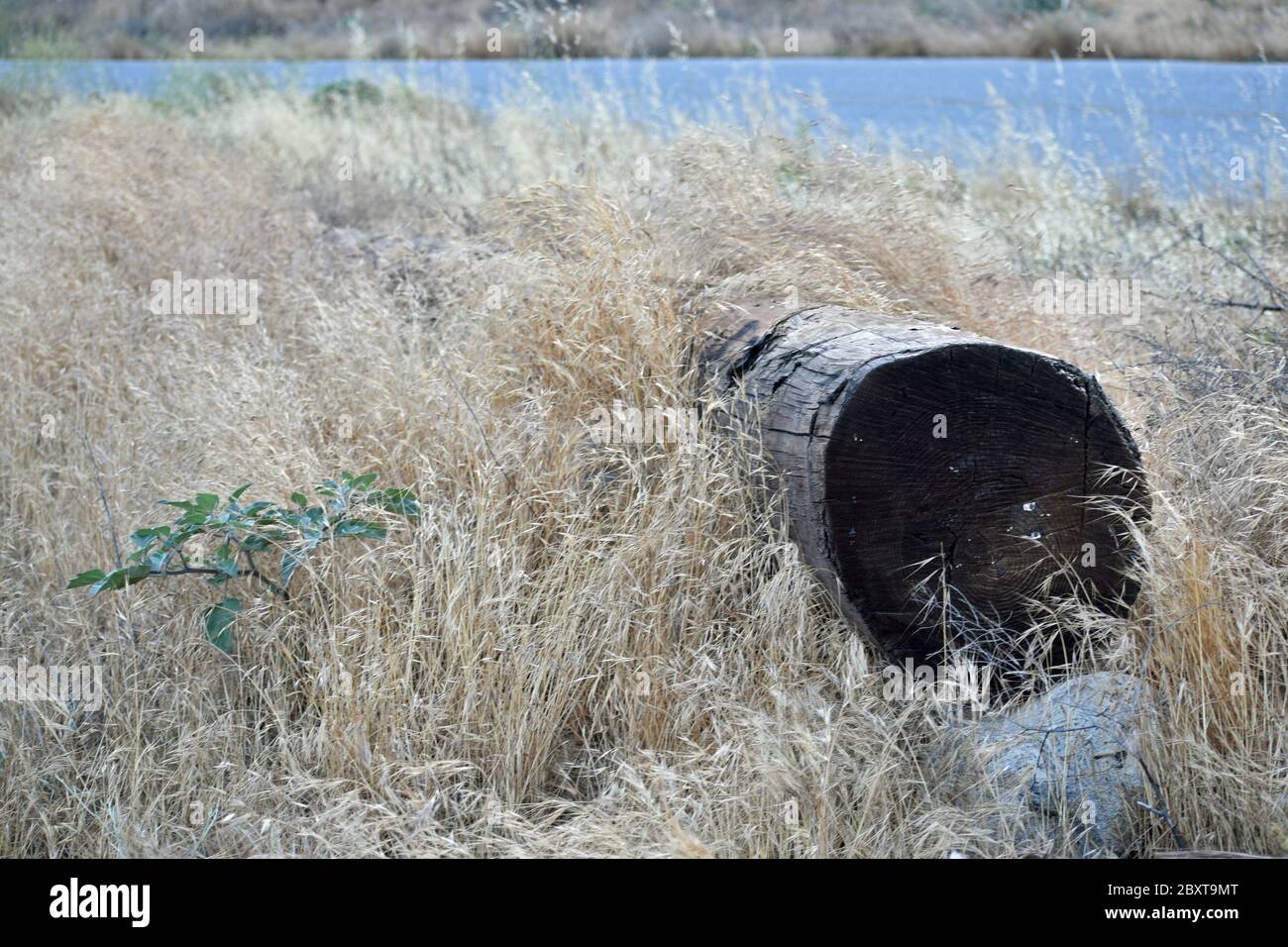 Consente di accedere a un campo Foto Stock