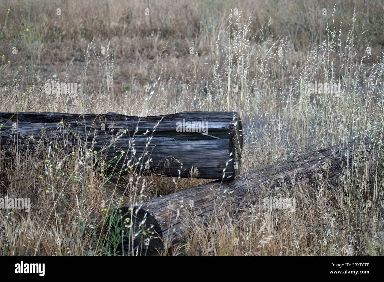 Consente di accedere a un campo Foto Stock