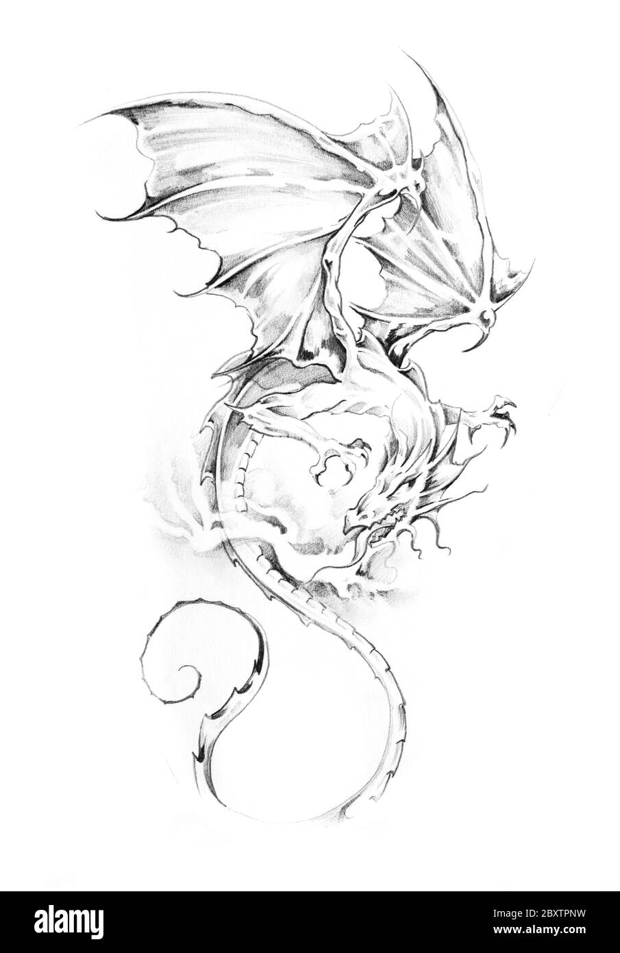Schizzo di arte del tatuaggio, dragon Foto Stock