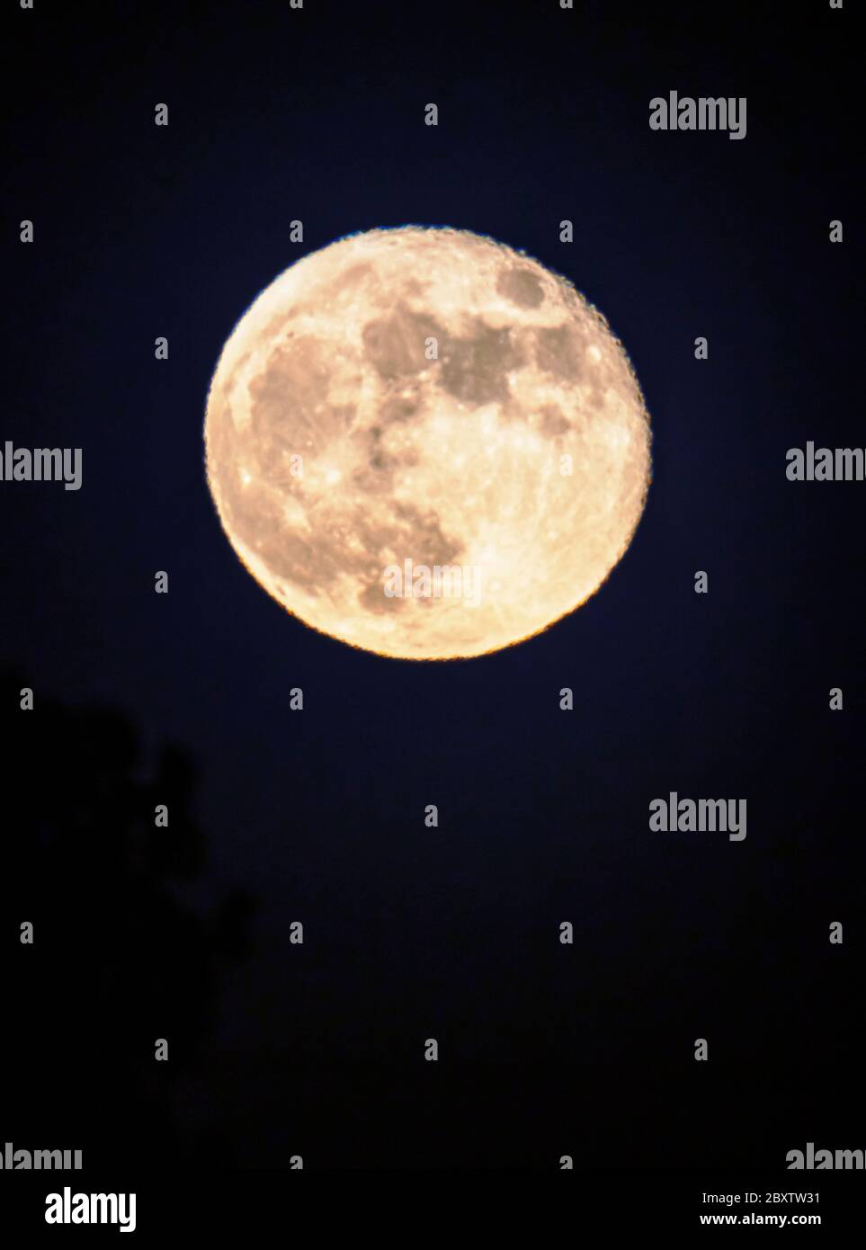 Luna piena di fragole che si erge sulle Montagne Rocciose, Salida, Colorado, Stati Uniti Foto Stock