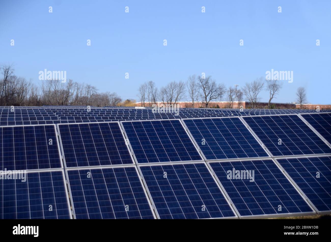 DIFESA: Le fattorie solari fiancano i paesaggi aperti nella zona di Tinton Falls del New Jersey. Foto Stock
