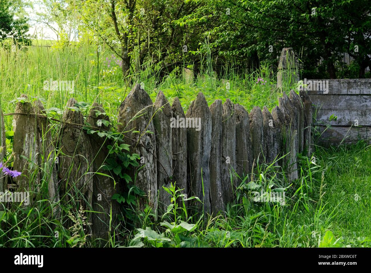 Recinzione rustica in legno in villaggio vicino alla casa vicino alla foresta. Autentica cultura tradizionale in architettura e vita. Luce del sole, legno vecchio. Foto Stock