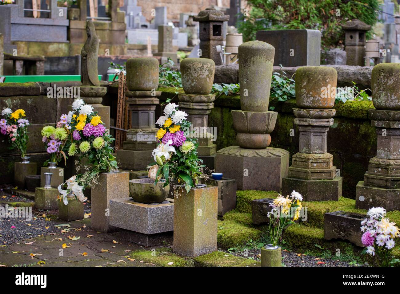 Un cimitero dietro il tempio Hokokuji a Kamakura, Giappone Foto Stock