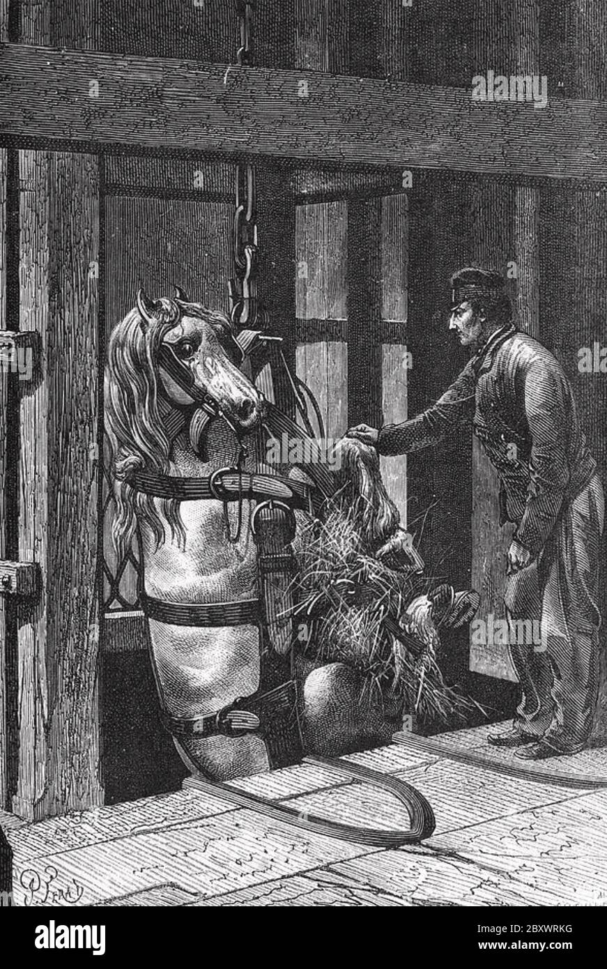 ESTRAZIONE DI CARBONE che abbassa un pony di buca in Belgio nel 19 ° secolo Foto Stock