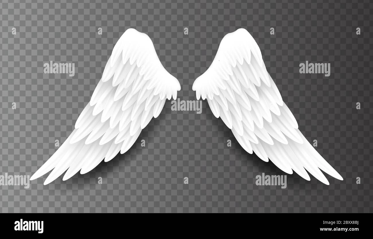 Coppia di belle ali bianche angelo isolato su sfondo trasparente, 3D realistico illustrazione vettoriale. Spiritualità e libertà Illustrazione Vettoriale