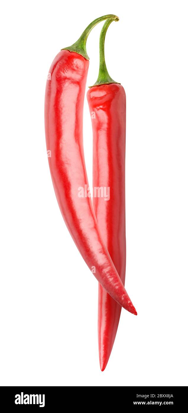 Coppia di peperoncini freschi isolati su sfondo bianco Foto Stock