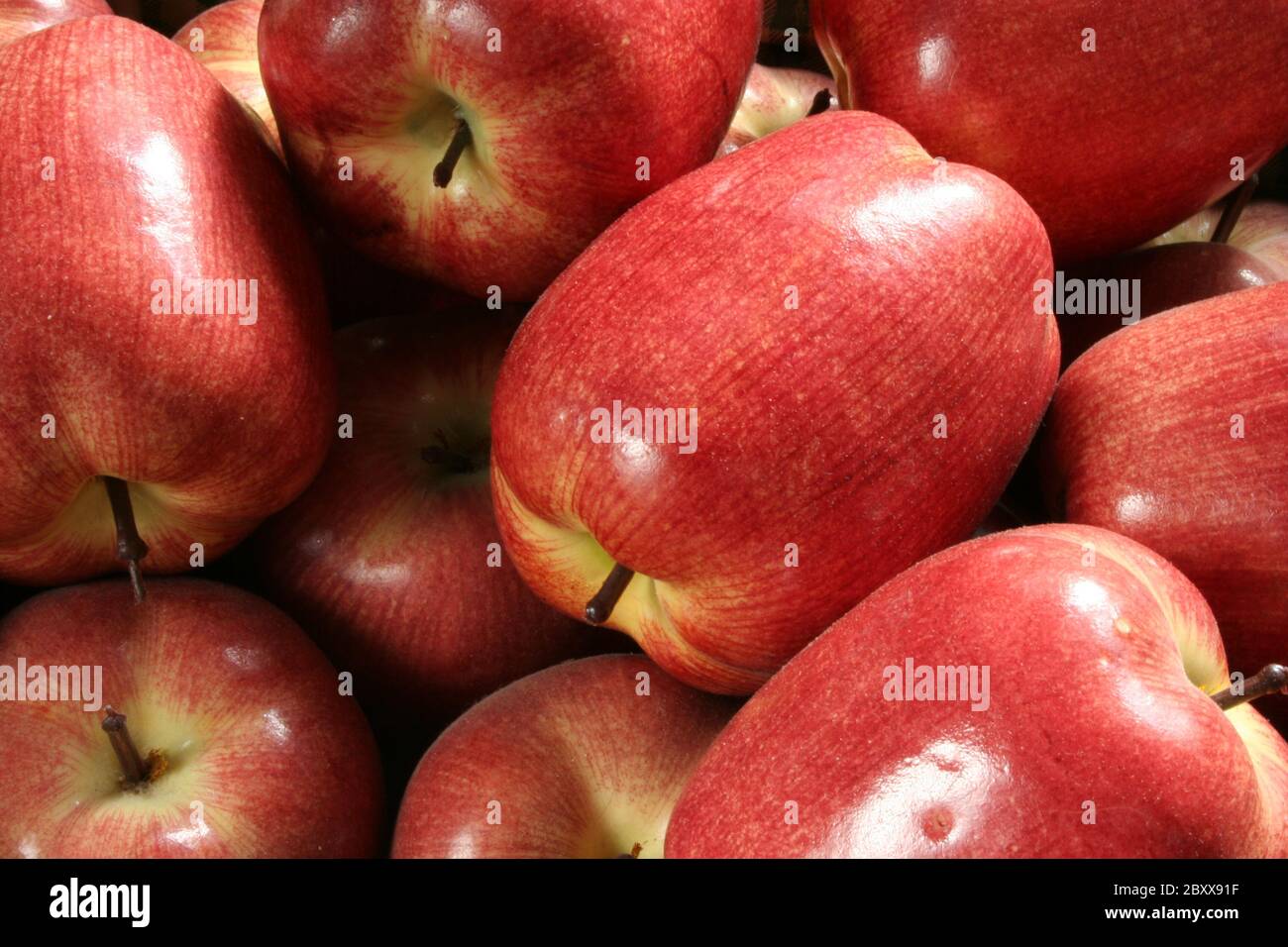 Una immagine di alcune mele ornamentali Foto Stock