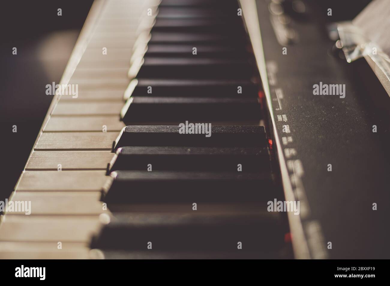 Primo piano di tasti in bianco e nero avorio su un pianoforte. La luce del mattino dorata che preme i tasti. Foto Stock