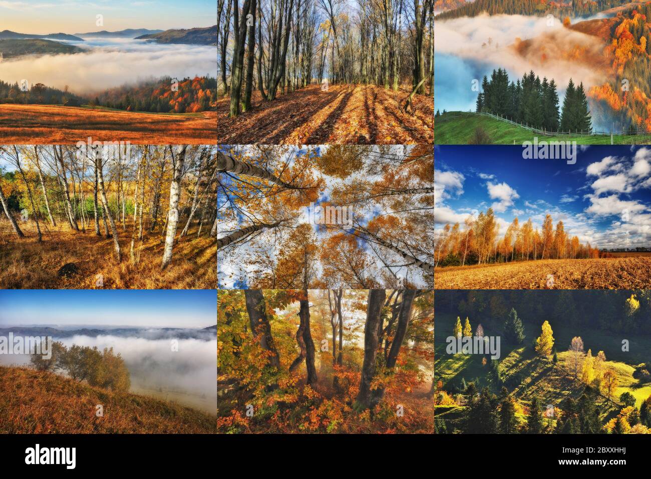 Collage Autunnale Immagini E Fotos Stock Alamy