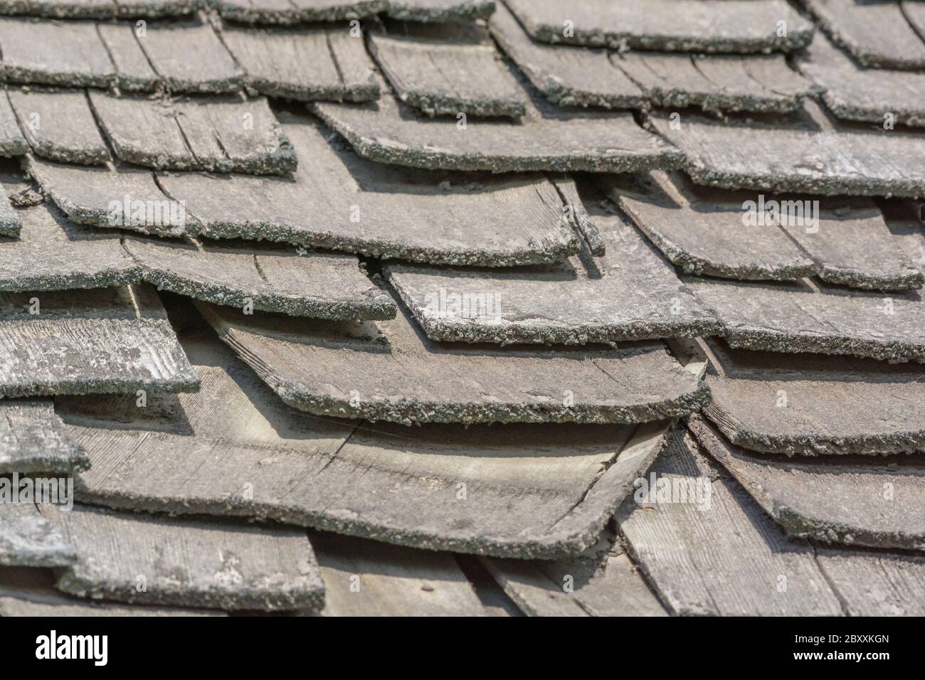 Vento e pioggia hanno danneggiato vecchio legno di mescolamento / legno scuotere tetto in cattiva riparazione, in cattive condizioni, e ha bisogno di sostituzione. Idioma ottenuto un ardesia sciolto, & malattia mentale. Foto Stock