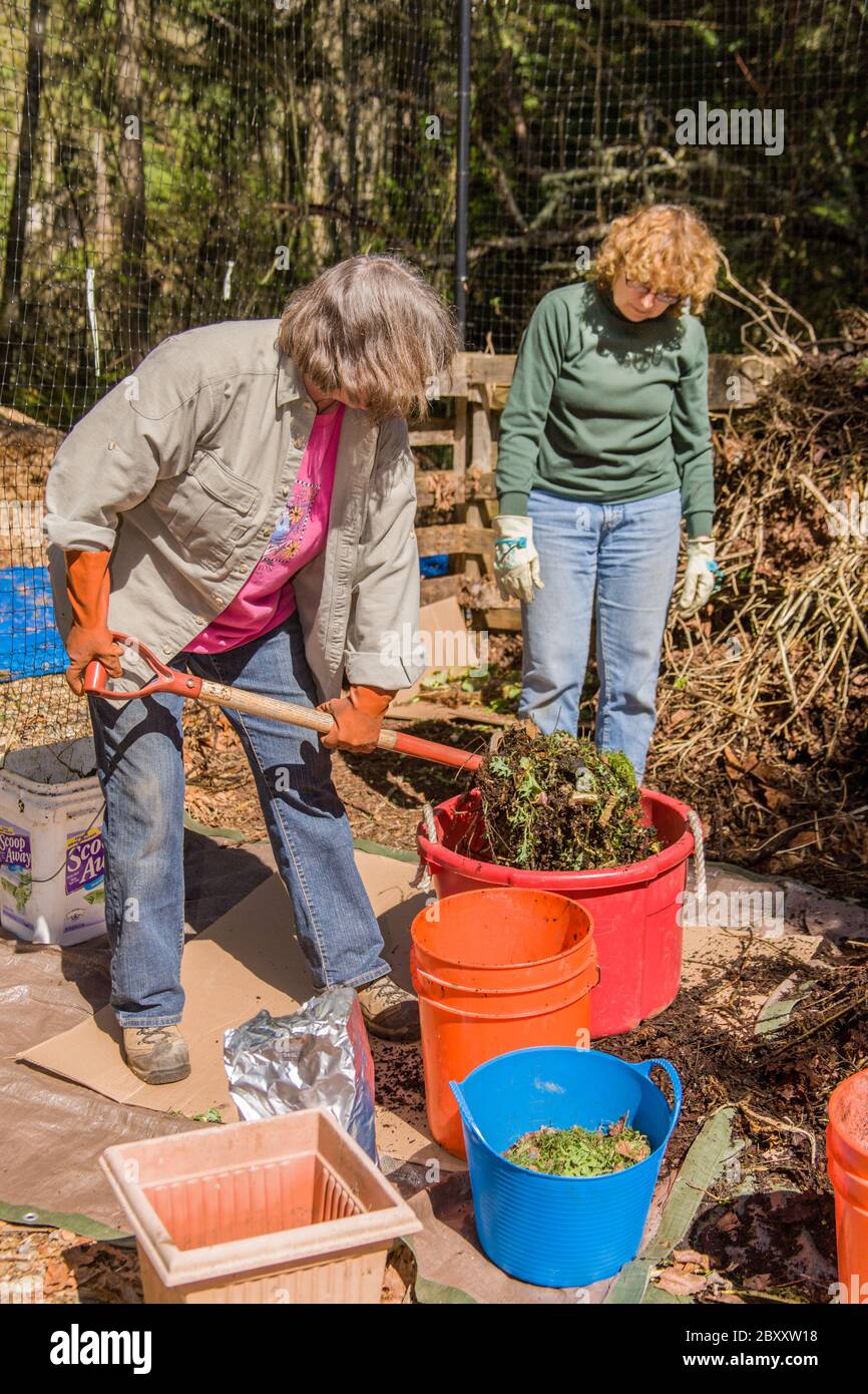 Donna che dimostra con una forchetta composta, come mescolare composto 'verdi', 'browns', e la giusta quantità di acqua in un secchio, prima di aggiungere la miscela Foto Stock