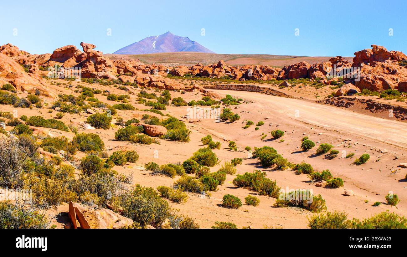 Paesaggio vulcanico di Altiplano boliviano, Bolivia, Sud America. Foto Stock