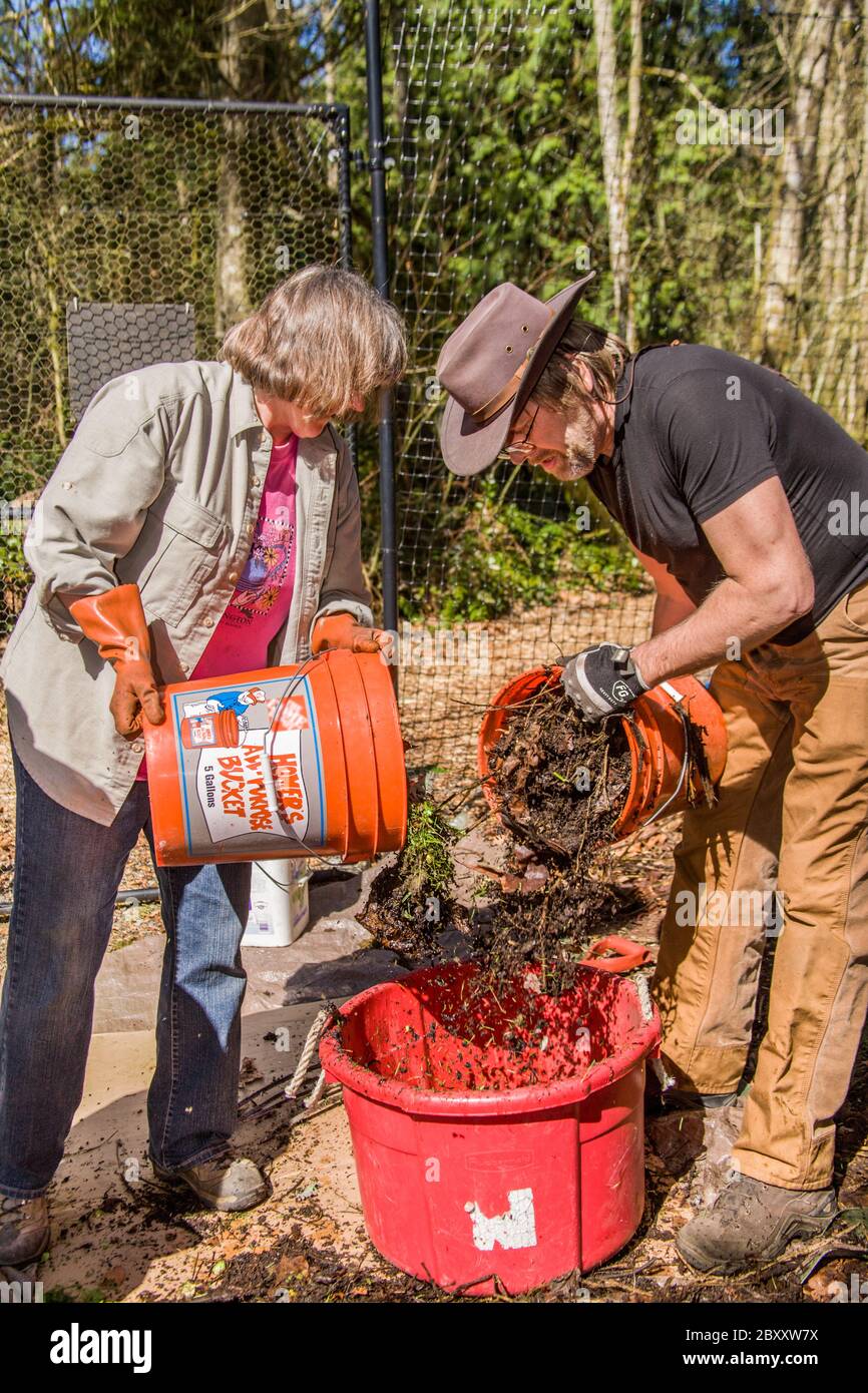 Donna che versa il composto 'green' e l'uomo che versa il composto 'browns' in una vasca. Successivamente si aggiunge acqua sufficiente a somigliare ad una spugna umida, e il m Foto Stock