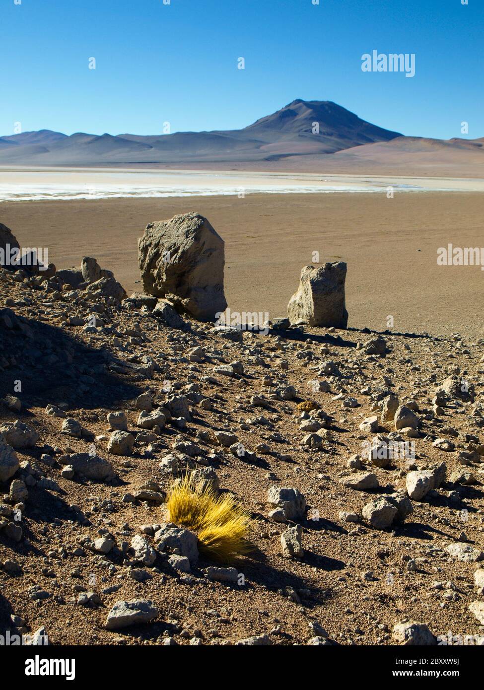 Paesaggio di Altiplano con rocce, laguna bianca e cime. Giorno cielo azzurro e soleggiato. Bolivia. Foto Stock
