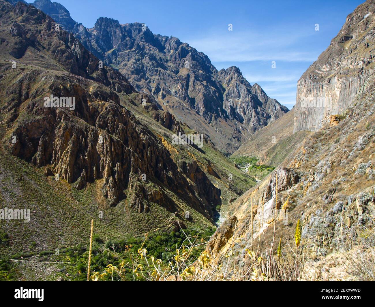 Il canyon più profondo del mondo - Colca (Perù) Foto Stock