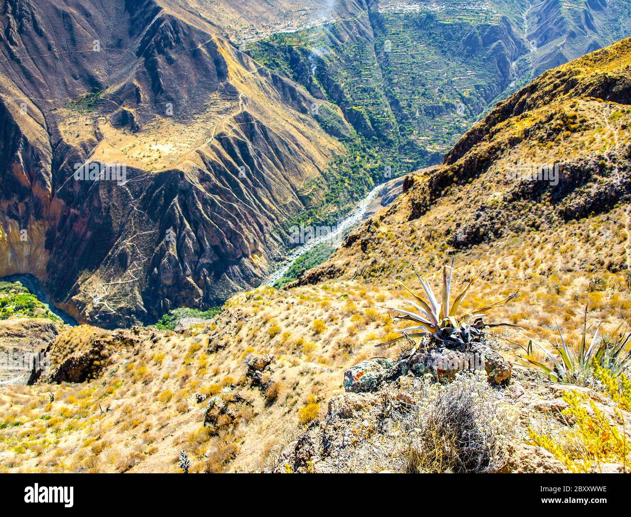 Canyon del Colca - il canyon più profondo del mondo, Perù, Sud America. Foto Stock