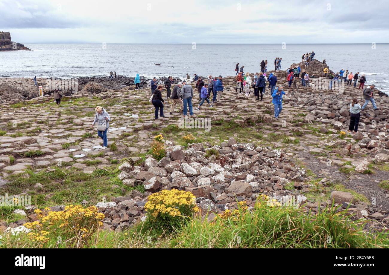 La gente esplora le migliaia di antiche colonne di basalto intrecciate del Selciato del Gigante sulla costa settentrionale della contea di Antrim, Irlanda del Nord. Foto Stock