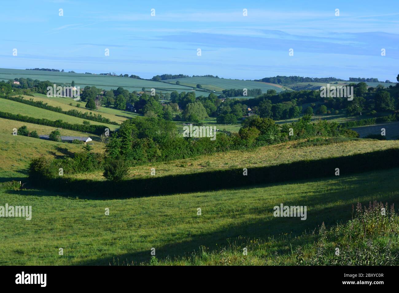 Vista panoramica dal sentiero Donkey Lane sulla valle e i campi verdi verso la frazione di Poyntington, Sherborne, Doset, Inghilterra. Foto Stock