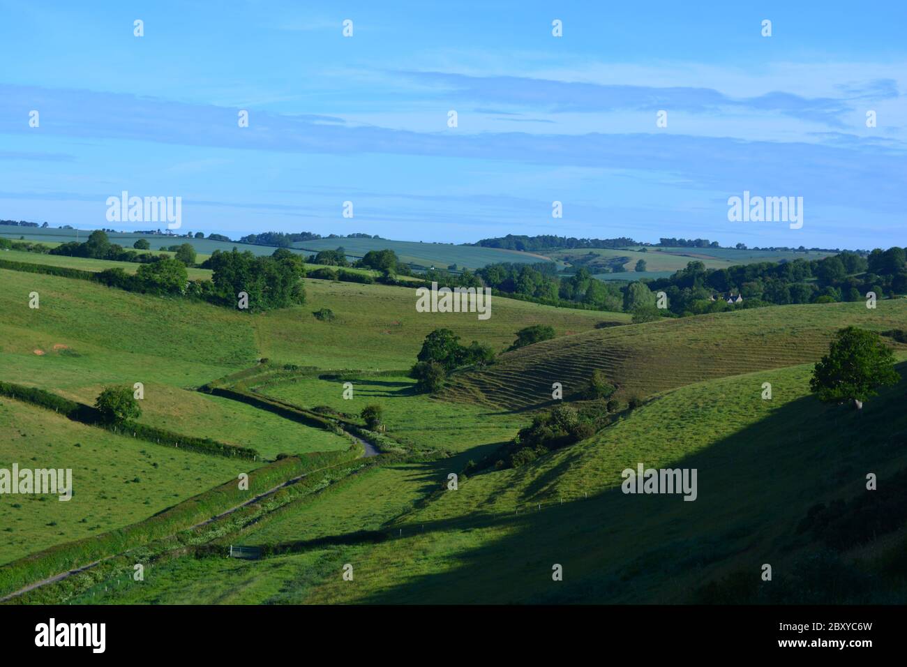 Vista sulla valle, i campi verdi e le colline ondulate dal sentiero Donkey Lane, un tipico paesaggio estivo inglese, Dorset, Regno Unito Foto Stock