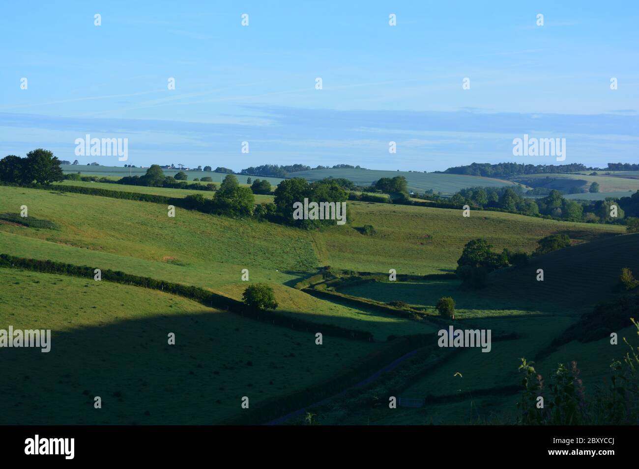 Vista panoramica della campagna in estate, guardando giù per la valle da Oborne verso la frazione di Poyntington, Sherborne, Dorset, Inghilterra Foto Stock