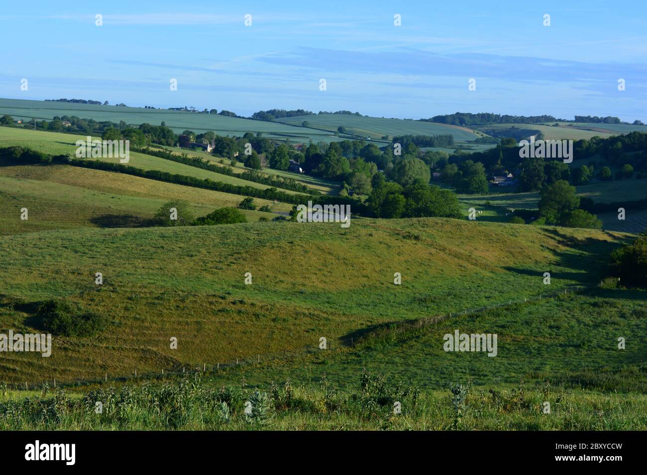 Vista panoramica della campagna in estate, guardando verso la frazione di Poyntington da Donkey Lane Trail Sherborne, Dorset, Inghilterra Foto Stock