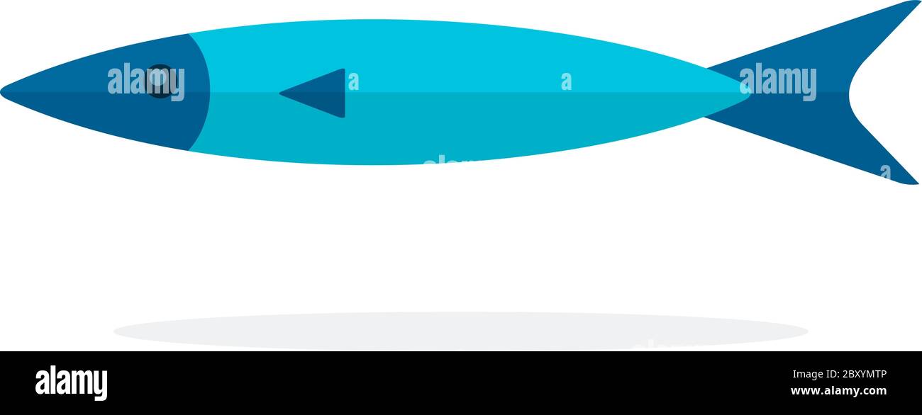 Sardine di pesce Atlantico pianeggianti isolati Illustrazione Vettoriale