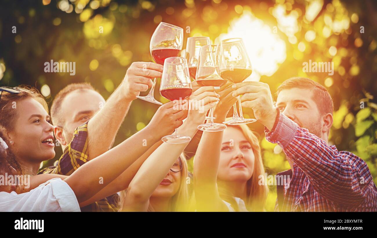 Gruppo multirazziale di amici che tostano vino rosso in un ristorante all'aperto Foto Stock