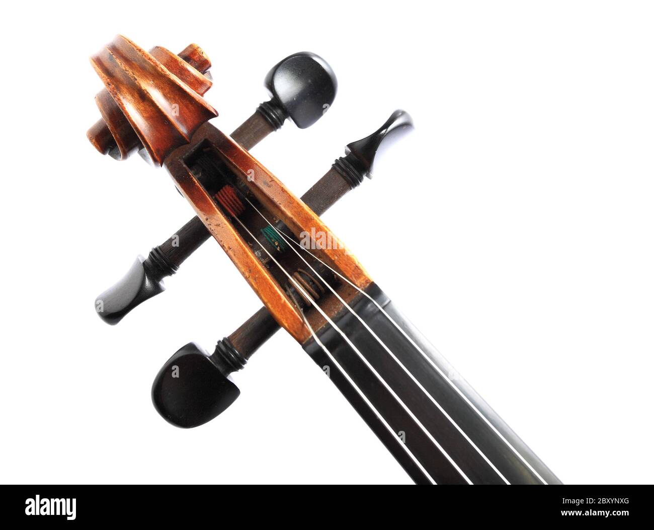 testa del violino Foto Stock