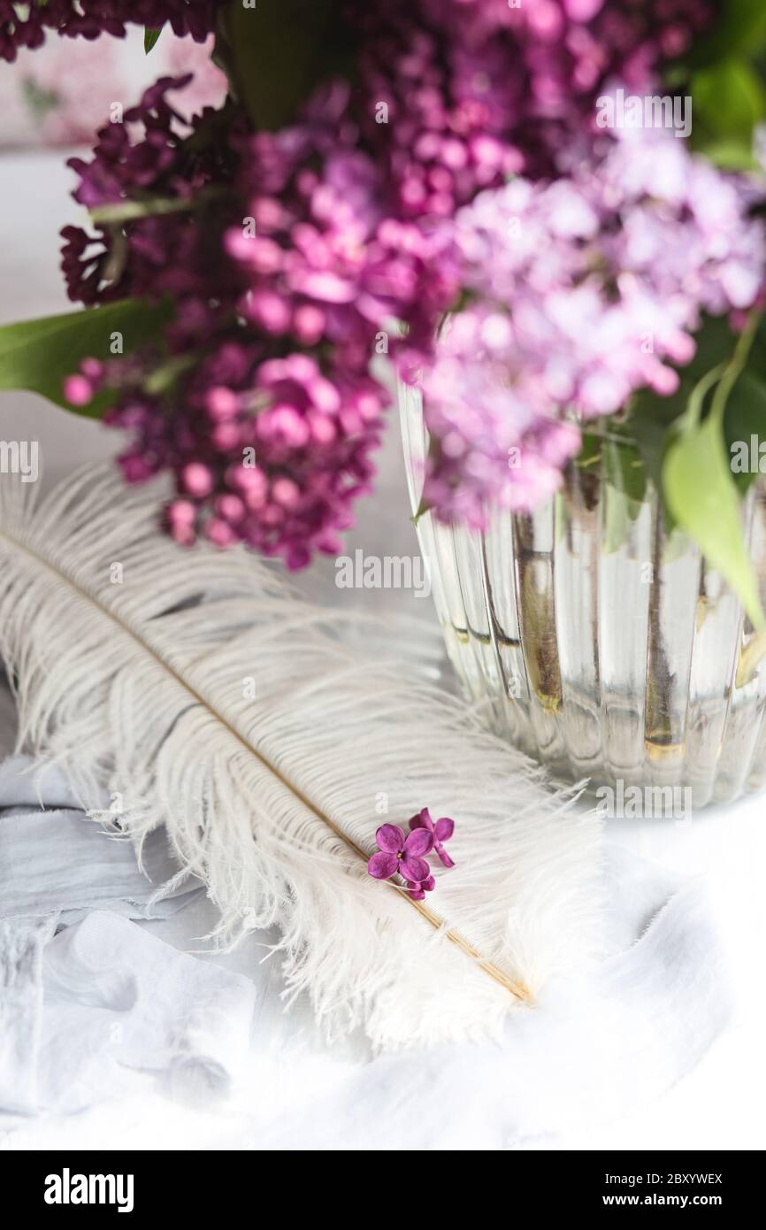 Fiori viola blu lilla a cinque punte su una piuma bianca di struzzo. Una fortuna lilla - fiore con cinque petali tra i fiori a quattro punte di pin luminoso Foto Stock