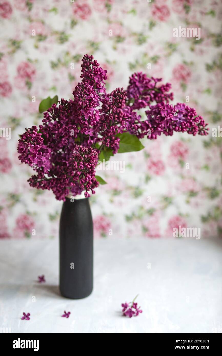 Bouquet di lilla viola in vaso nero. Ancora vita con rami fiorenti di lilla in vasi. Mock-up biglietto di auguri. Foto Stock