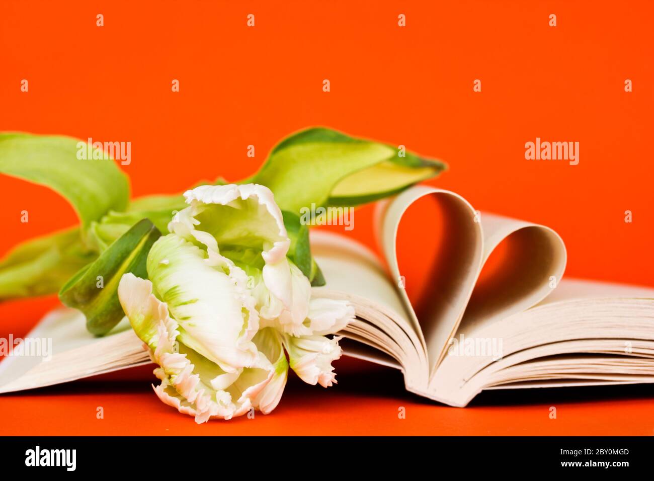 lettura con passon Foto Stock