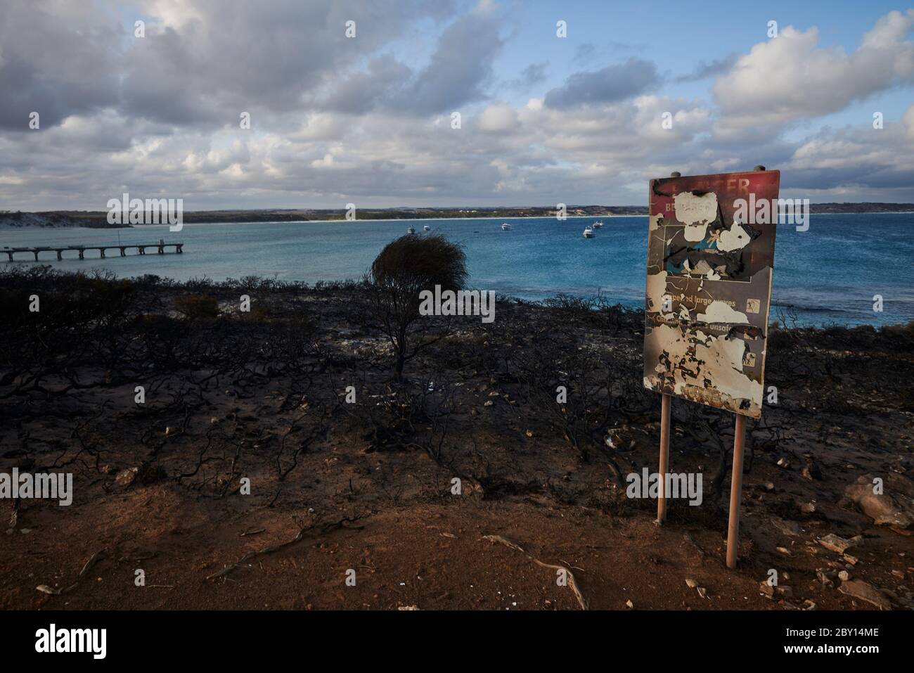 Il paesaggio devastato di Kangaroo Island lentamente tornando alla vita alla fine di febbraio 2020. Foto Stock