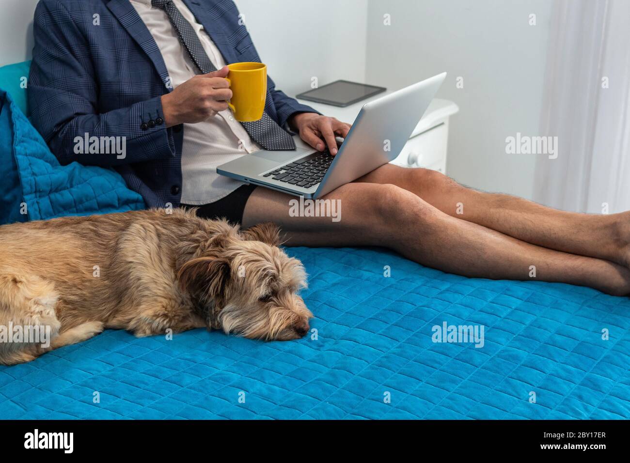 Uomo che lavora guardando il suo computer sul suo letto da casa con vestito e pantaloncini accanto al suo cane Foto Stock