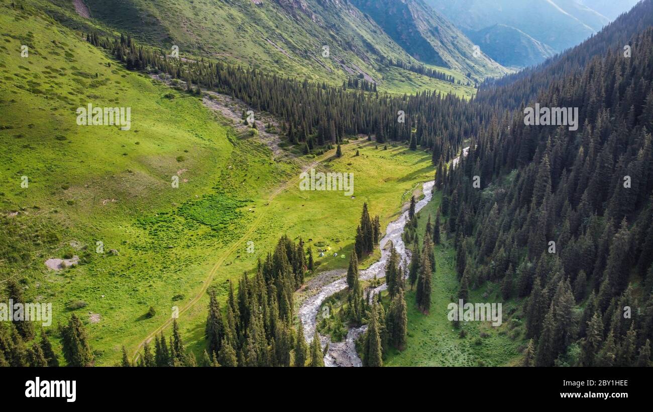 Vista areale del fiume, campo verde e foresta in montagna. Foto Stock