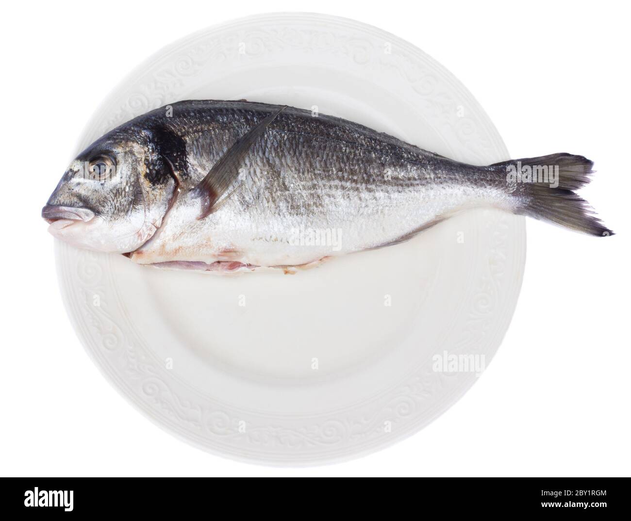 testa dorata (dorada) Foto Stock