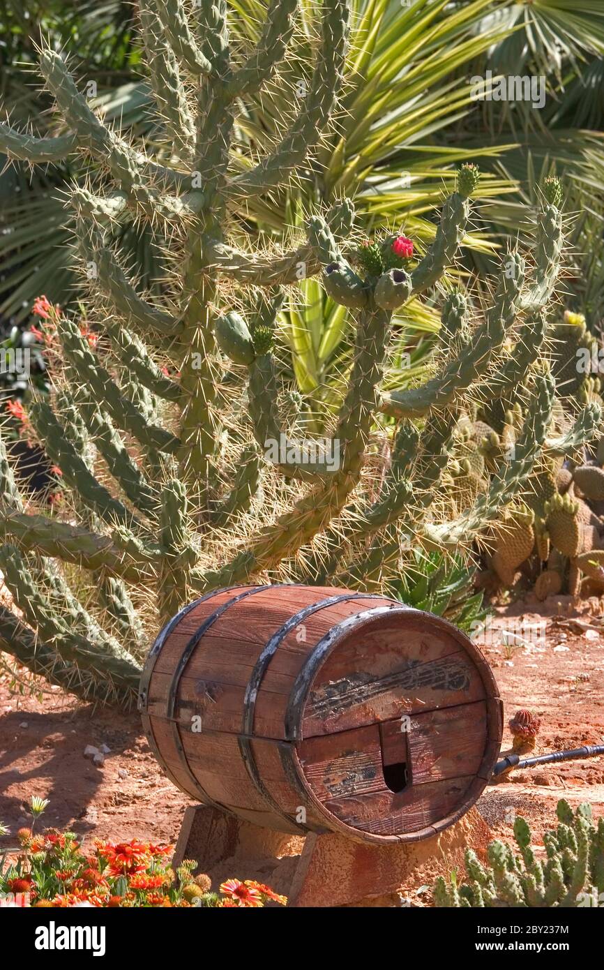 Botte di vino. Foto Stock
