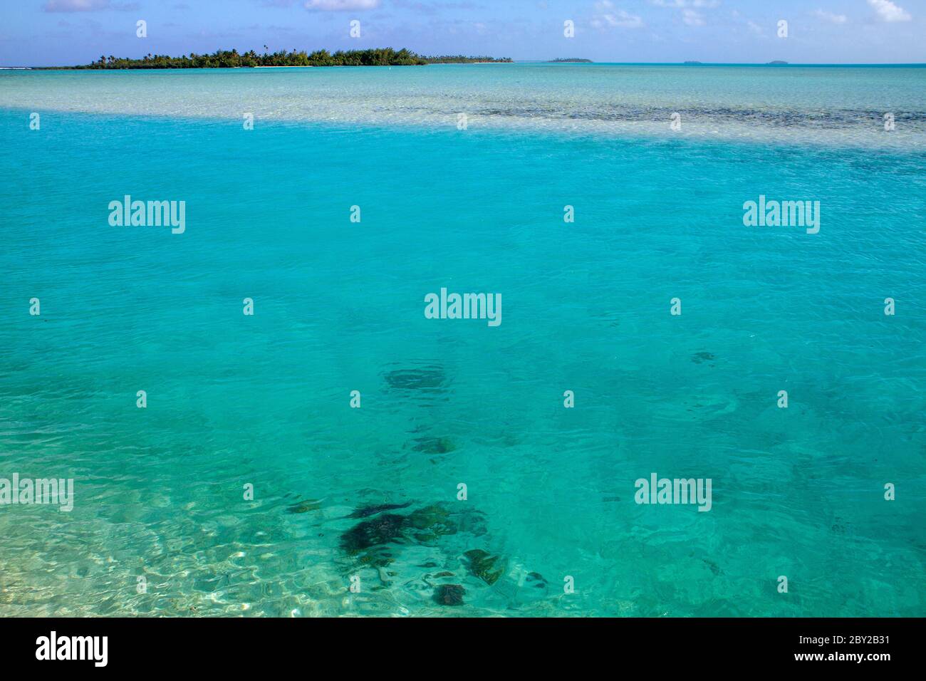 Oceano limpido ad Aitutaki Foto Stock