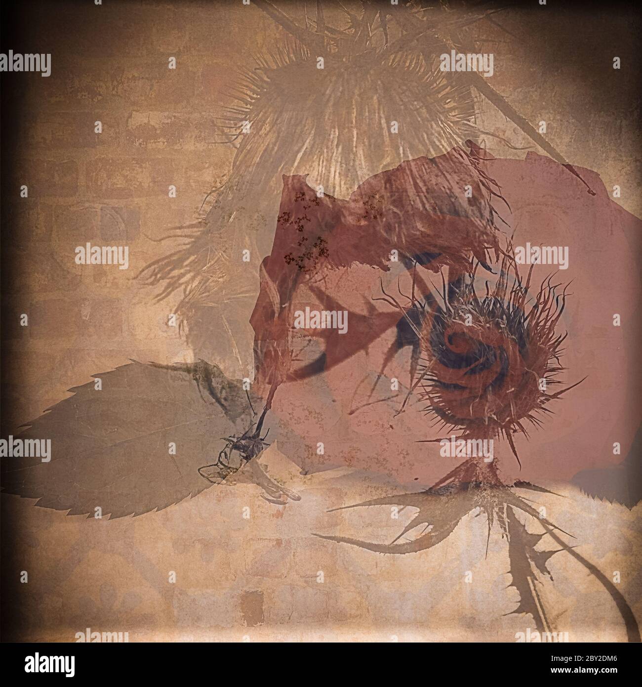 sfondo degli opposti Foto Stock