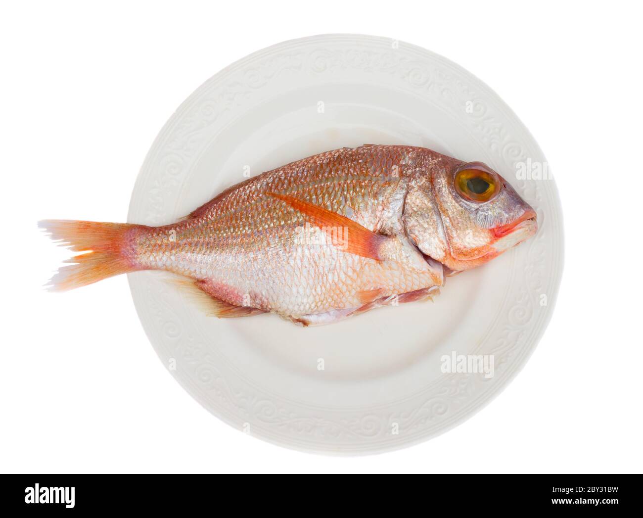 pesce di sama Foto Stock