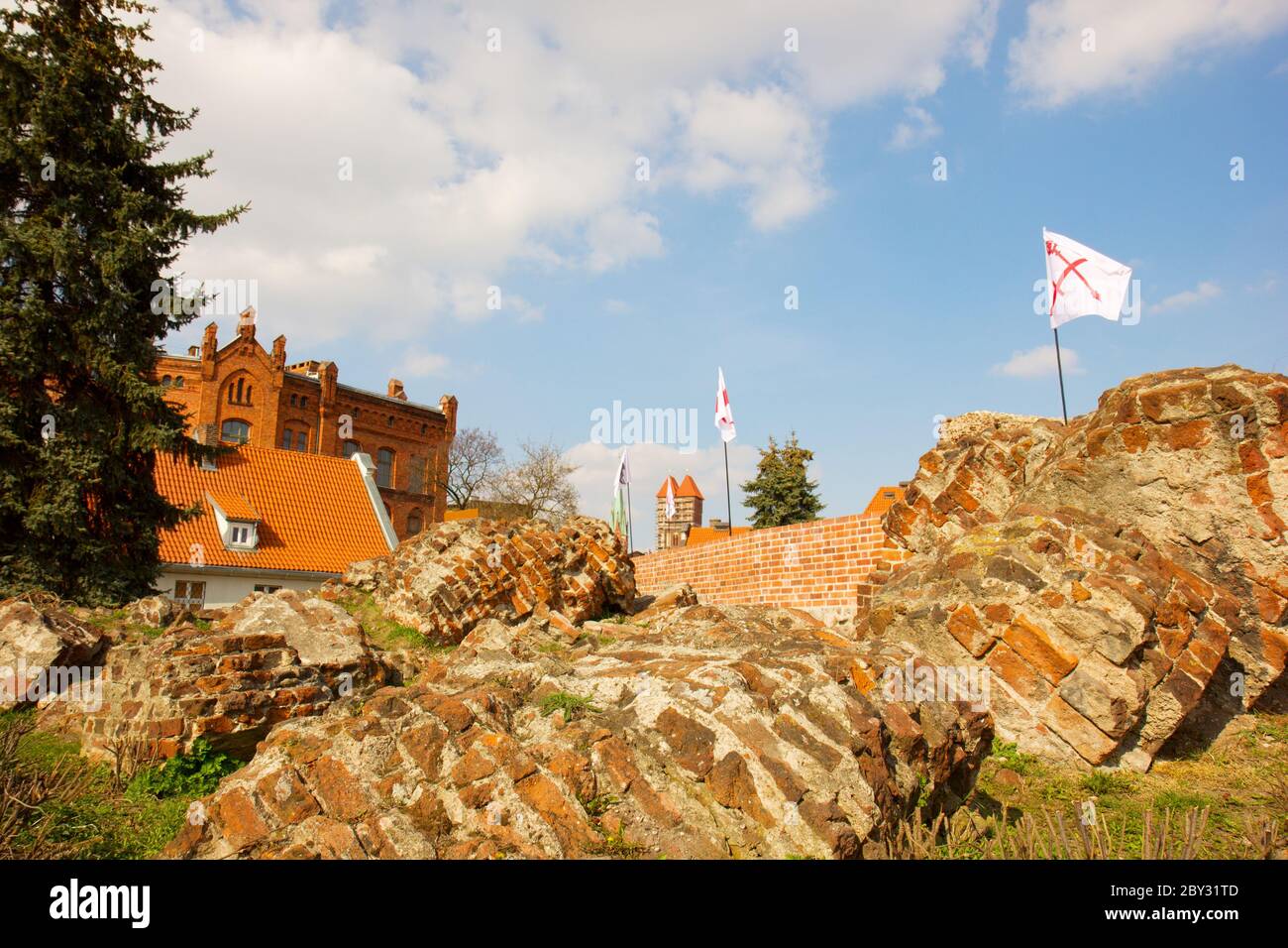 Teutonic Knights Castle, Torun, Polonia Foto Stock